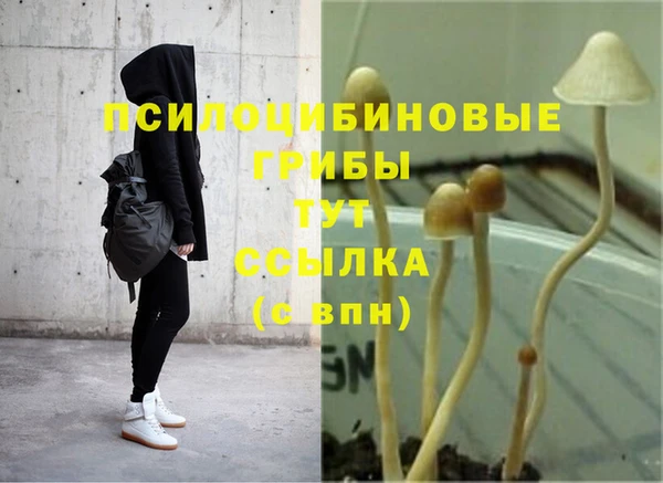 дурь Мегион