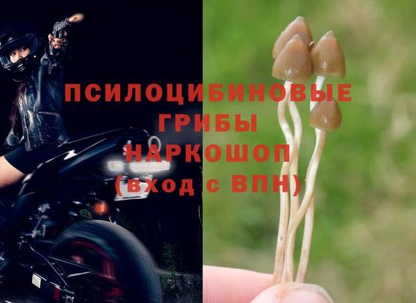 дурь Мегион